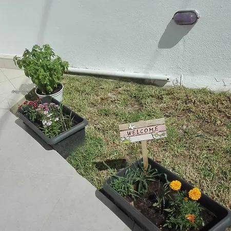 Alexandros 公寓式酒店 4*